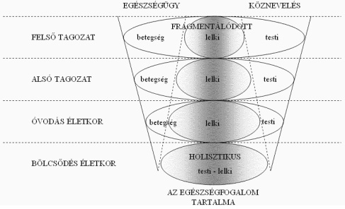 A kznevelsi s az egszsggyi rendszer egyttmkdse s az egszsgfogalom tartalma