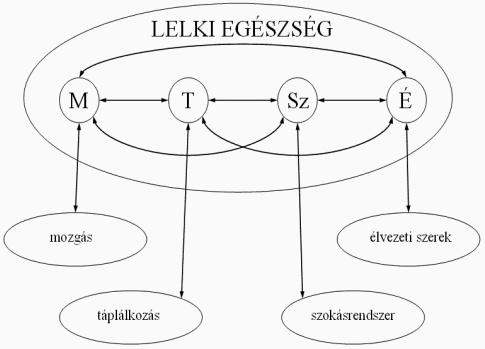 Az egszsgfogalom dimenzii