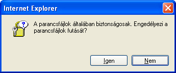ie_1.jpg