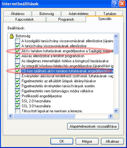 ie_5.jpg